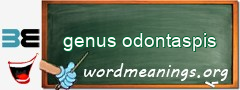 WordMeaning blackboard for genus odontaspis